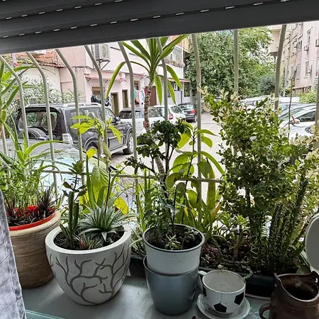 Xhuliza House-cozy In *
